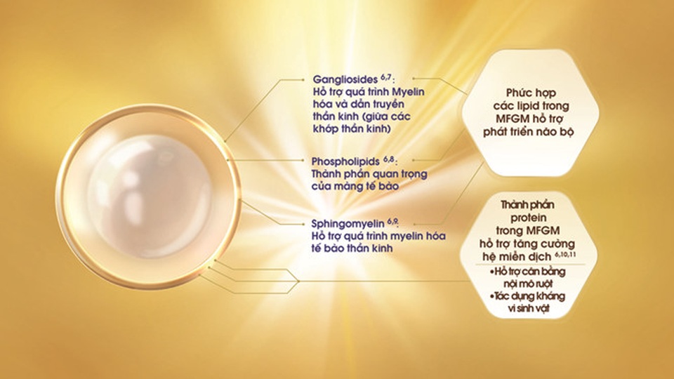 Ba mẹ - người bạn đồng hành giúp bé phát triển IQ và EQ tối ưu - 1