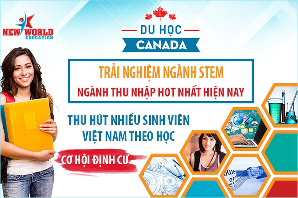 Sinh viên Việt Nam du học Canada nên chọn khối ngành STEM – cơ hội việc làm và định cư cao - 1