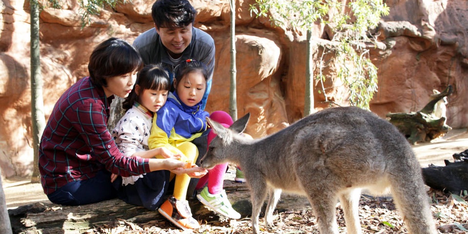 Sở hữu kỳ nghỉ trọn vẹn theo phong cách Resort Vacations - 1 Sở hữu kỳ nghỉ trọn vẹn theo phong cách Resort Vacations - 1