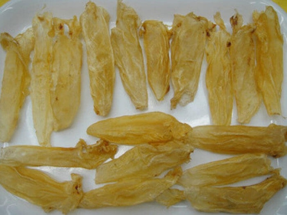 Bong bóng cá chục triệu đồng/kg, có loại 1 tỷ đồng/kg chỉ bán cho nhà giàu Việt - 2 Bong bóng cá chục triệu đồng/kg, có loại 1 tỷ đồng/kg chỉ bán cho nhà giàu Việt - 2