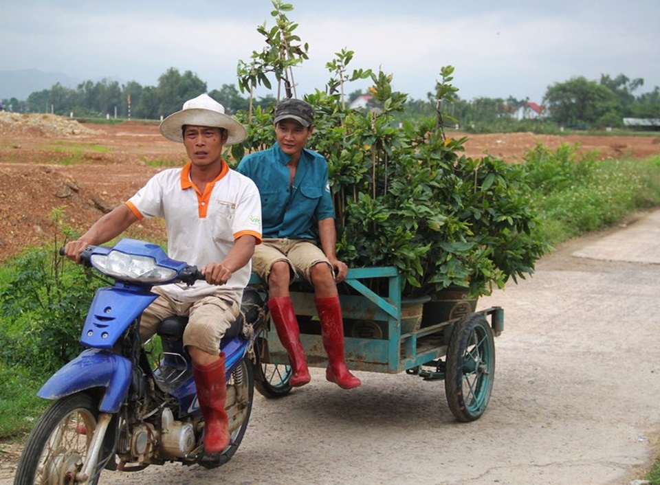 TPHCM lần đầu tổ chức sơ tán dân vùng ven biển để tránh bão - 9 Người dân dùng xe máy kéo mai về nhà tránh lũ