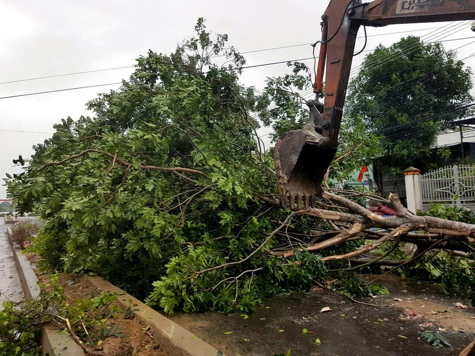 Bão vừa qua, người dân lại gồng mình chống chọi với lũ - 12 Các cây xanh trên địa bàn thị xã Ayun Pa bị bật gốc, chắn ngang đường