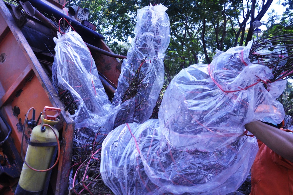 Cuối ngày 30 Tết, hoa, cây cảnh đồng loạt “xả hàng” - 11 Những chiếc xe rác chở đầy hoa đào