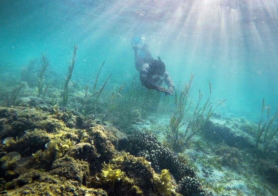 Đến thăm hòn đảo đẹp nhất Philippine - 10