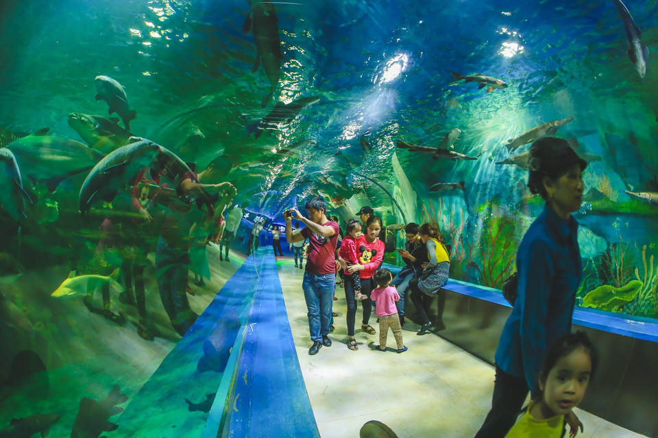 Happy Land sôi động và mát lạnh chào hè - 10 Chơi không giới hạn khu vui chơi trên cạn, khu vui chơi trẻ em...hay tham quan thủy cung.