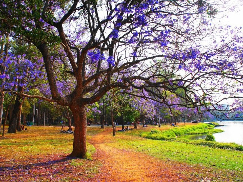 15 công viên tuyệt đẹp khiến bất kỳ ai cũng một lần muốn đến - 10