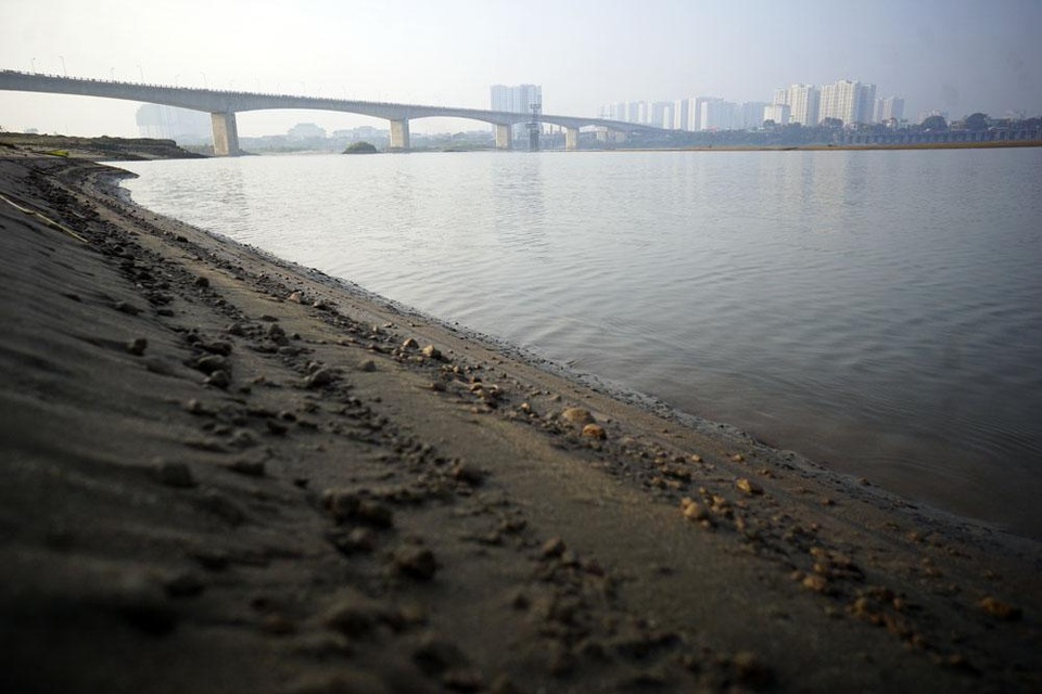 
Bãi sông này chỉ cách hồ Gươm - trái tim của Hà Nội - khoảng 5km nhưng cảnh vật khác biệt hoàn toàn so với màu sắc đô thị phía bên kia sông.
