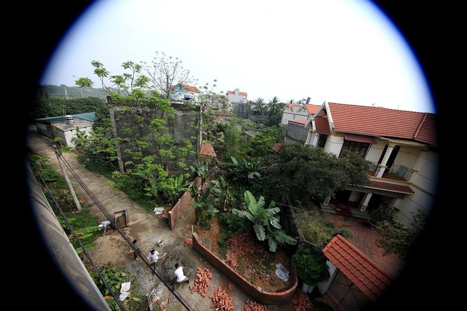 Hoa xoan dịu dàng gợi nhớ tuổi thơ - 11