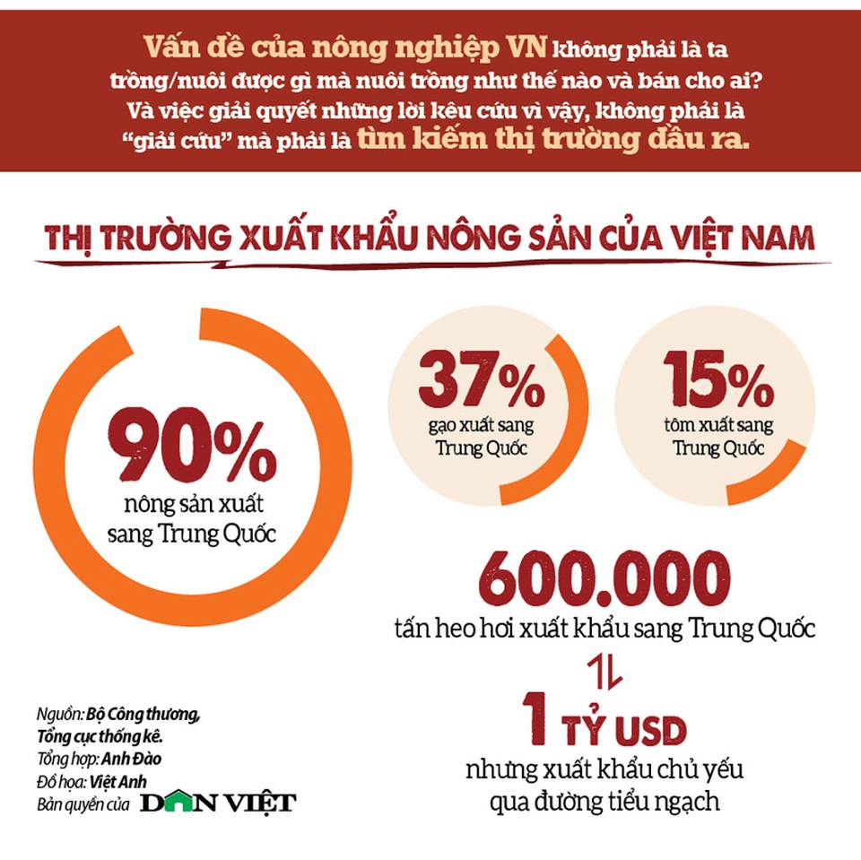 Infographics: Phải đi buôn chổi đót - 4