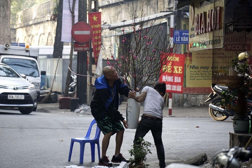 Cành đào mới được cắm trang trí cho một quán bia trên phố Phùng Hưng.