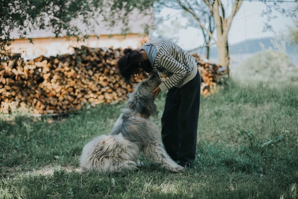 Người và vật nuôi hòa hợp lạ kỳ