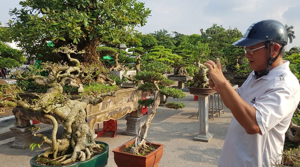 
Một người khách mê mẩn bên những tác phẩm đặc sắc
