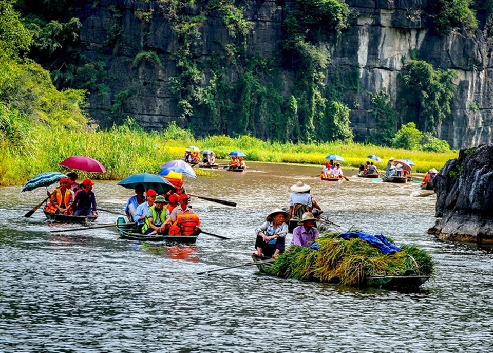 Ninh Bình được mùa: Những bức tranh tuyệt đẹp đầy màu sắc - 5 Ninh Bình được mùa: Những bức tranh tuyệt đẹp đầy màu sắc - 5