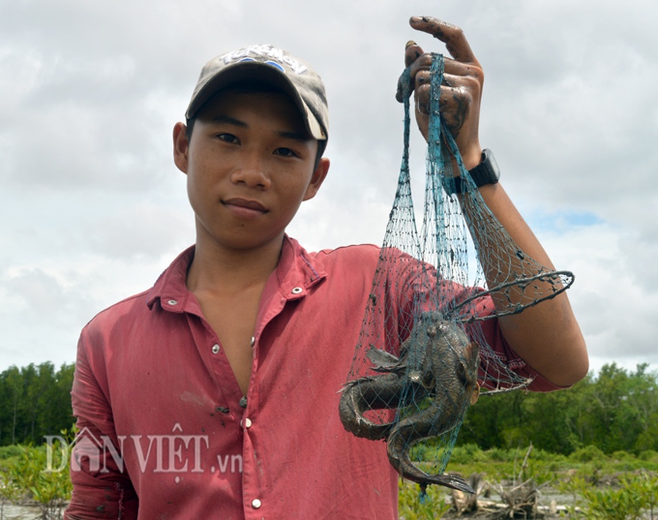 "Săn" loài cá kỳ lạ nhất hành tinh: Vừa biết lặn vừa biết leo cây - 10
Thành quả của một buổi đi bắt cá thòi lòi (Ảnh: Chúc Ly)