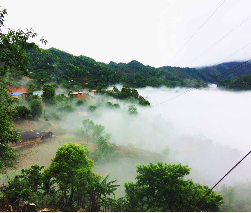 Vẻ đẹp ngỡ ngàng "đại dương" mây trắng trên đỉnh Tà Xùa - 5 Vẻ đẹp ngỡ ngàng "đại dương" mây trắng trên đỉnh Tà Xùa - 5