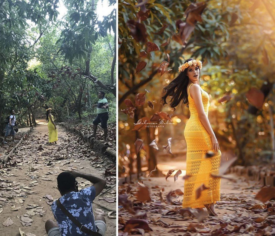 Muốn lá rụng là phải có người tung