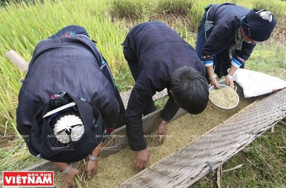 Chân dung người chạm bạc cuối cùng trên đỉnh núi Pờ Lỳ Ngài - 16 Người Nùng sử dụng trang sức bạc không chỉ trong các dịp lễ hội, ngày Tết mà còn trong lao động thường nhật.
