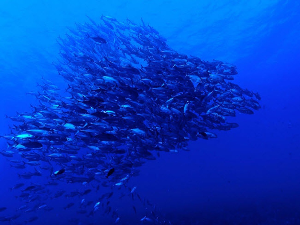 Không thể tin nổi 23 kỳ quan này lại tồn tại trên Trái đất - 19