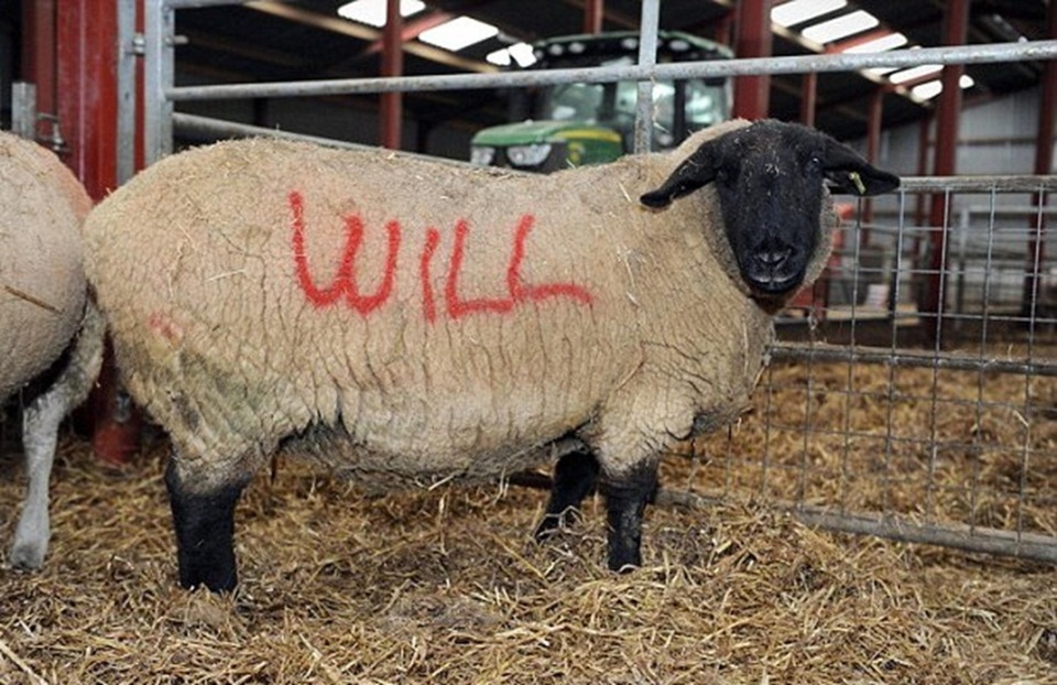 Hai người quen nhau từ nhiều năm trước đây