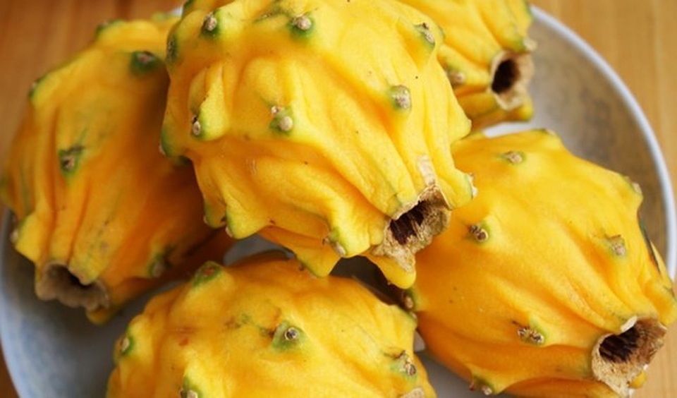 
Ngoài xoài đỏ, thanh long vàng Malaysia cũng là mặt hàng hút khách 
