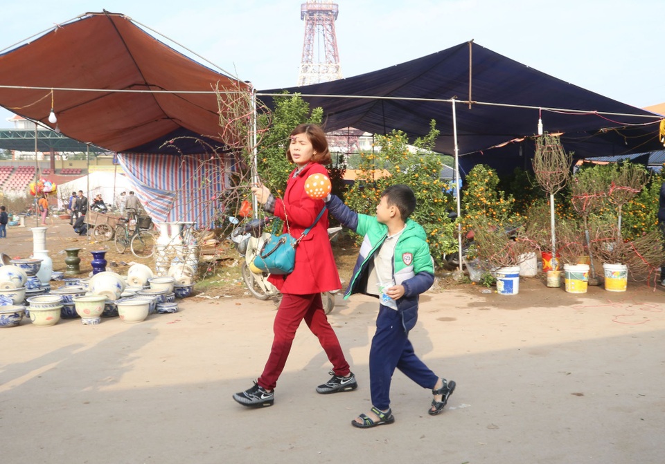 Cuối ngày 30 Tết, hoa, cây cảnh đồng loạt “xả hàng” - 42 Cuối ngày 30 Tết, hoa, cây cảnh đồng loạt “xả hàng” - 42