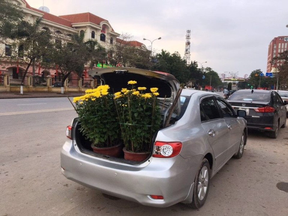 Cuối ngày 30 Tết, hoa, cây cảnh đồng loạt “xả hàng” - 47 Những chậu hoa cúc được người dân mua chiều cuối năm