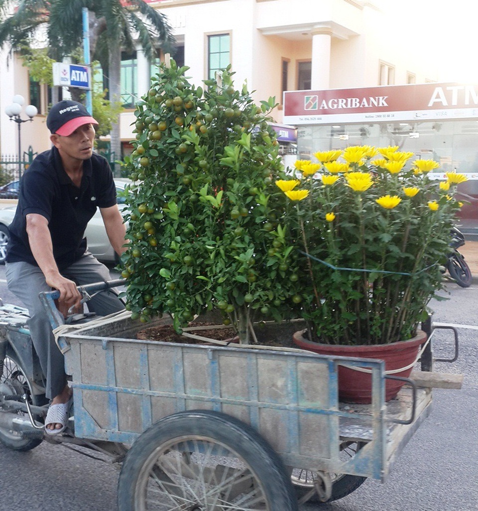 Hoa, kiểng ế ẩm, đồng loạt “xả hàng” chiều 30 Tết - 9 
Người dân tính toán khi mua sắm hoa chơi Tết