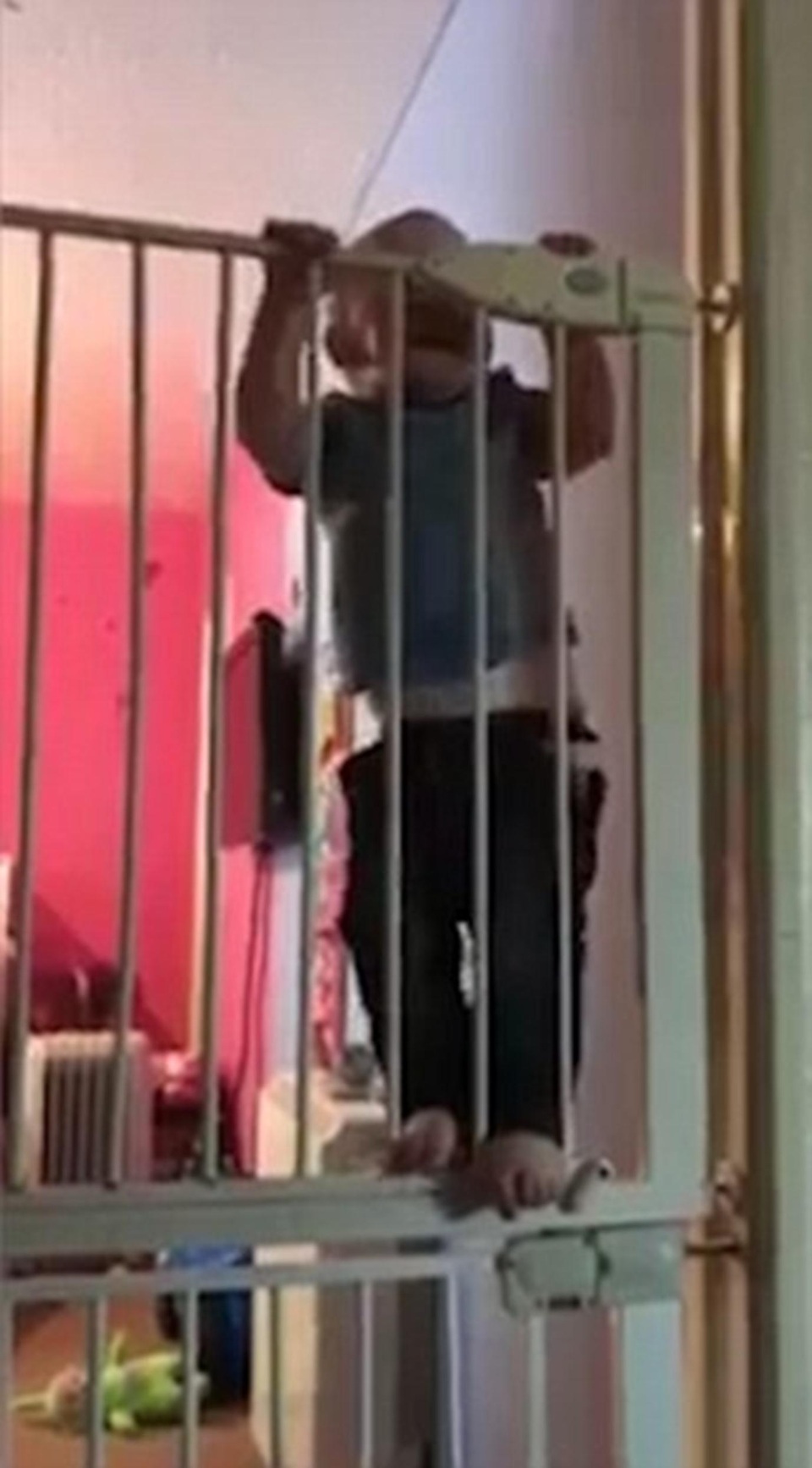 Dễ thương nhóc 21 tháng tuổi trèo cửa nhanh thoăn thoắt - 2 Leo có khả năng leo trèo đáng khâm phục