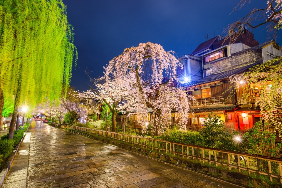 Khám phá Nhật Bản qua 3 thành phố Tokyo, Kyoto và Nagoya - 2 Khám phá Nhật Bản qua 3 thành phố Tokyo, Kyoto và Nagoya - 2