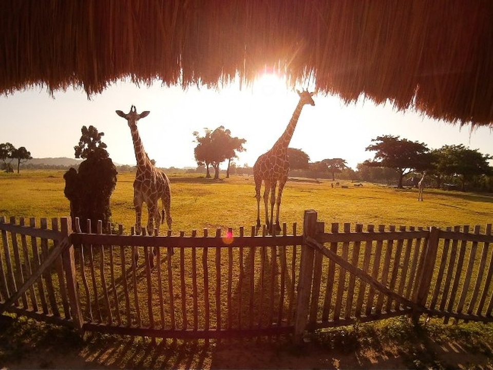 Đến thăm hòn đảo đẹp nhất Philippine - 2