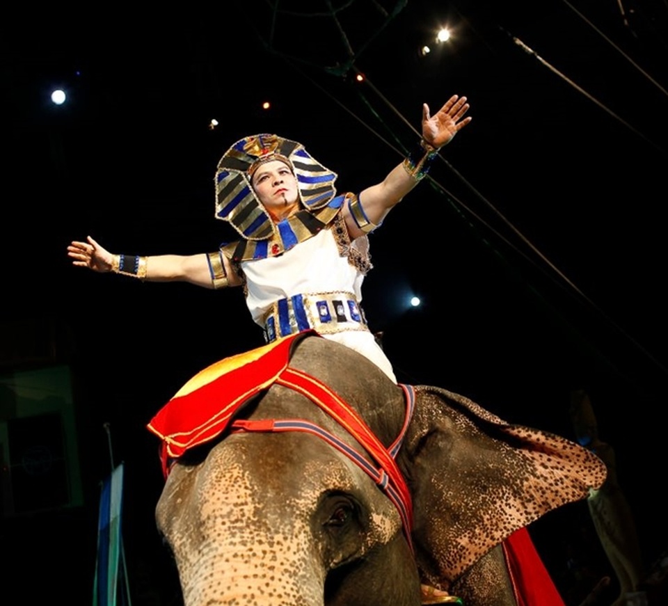 Cá sấu cắn mặt diễn viên: Hé mở nhiều lỗ hổng quản lý biểu diễn xiếc thú - 3
Nghệ sĩ Tống Toàn Thắng trong một tiết mục biểu diễn xiếc voi