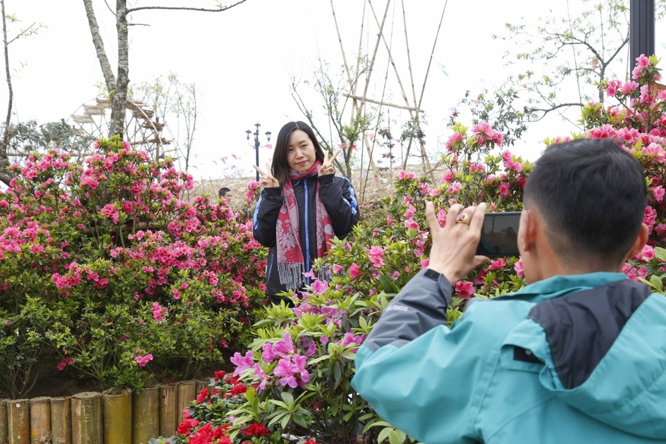 Fansipan Legend hút khách mùa lễ hội hoa đỗ quyên - 2 Fansipan Legend hút khách mùa lễ hội hoa đỗ quyên - 2