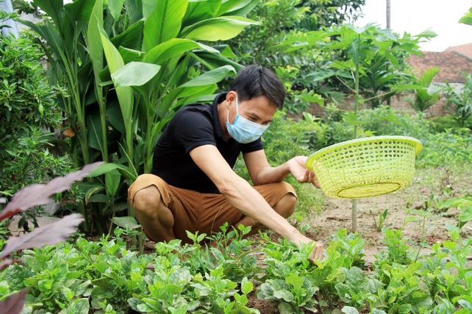 Ghép thận thành công, cuộc đời 2 bệnh nhân nghèo bước sang trang mới - 2 Sau ca ghép thận, anh Quyết đã trở lại cuộc sống bình thường và mong muốn tìm việc làm phù hợp phụ giúp gia đình