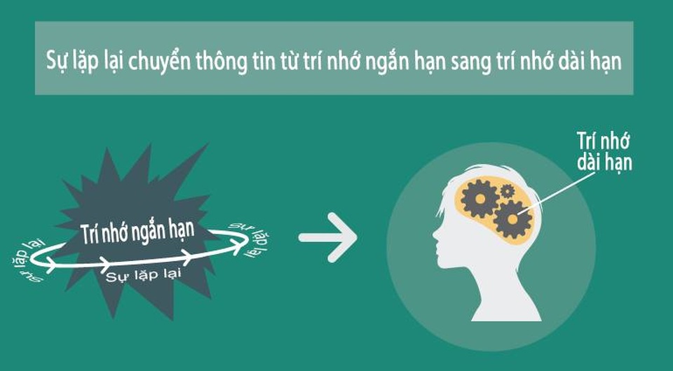 Góc chuyên gia: Hãy học tiếng Anh như danh họa Leonardo da Vinci học vẽ trứng - 2 Góc chuyên gia: Hãy học tiếng Anh như danh họa Leonardo da Vinci học vẽ trứng - 2