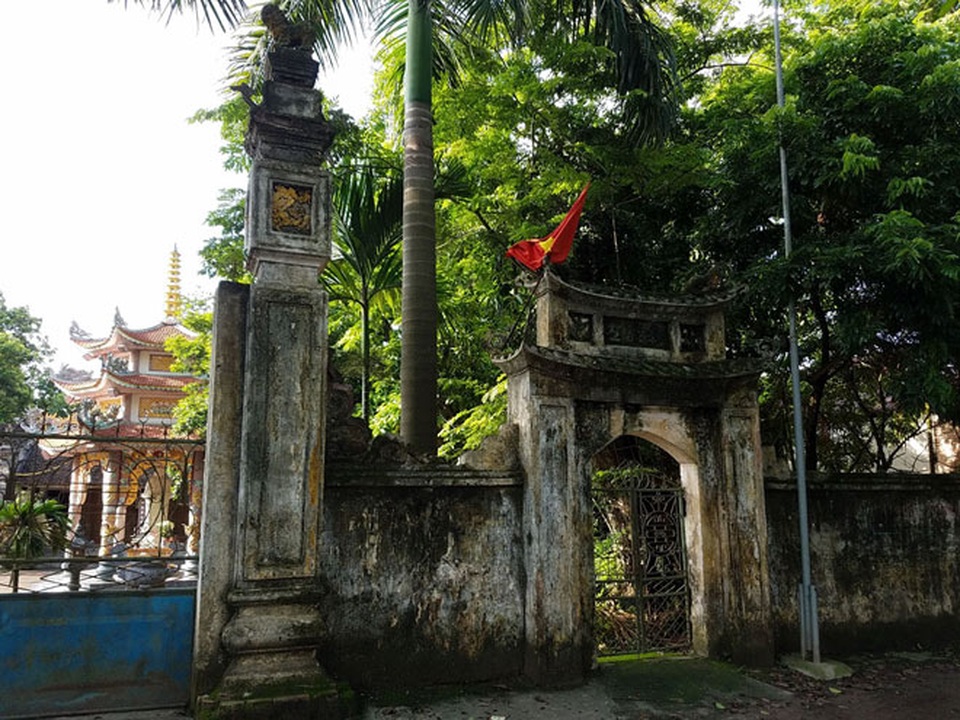 Cây sưa nằm gần cổng chùa làng Phụ Chính, Hòa Chính, Chương Mỹ có tuổi đời trên 130 năm.