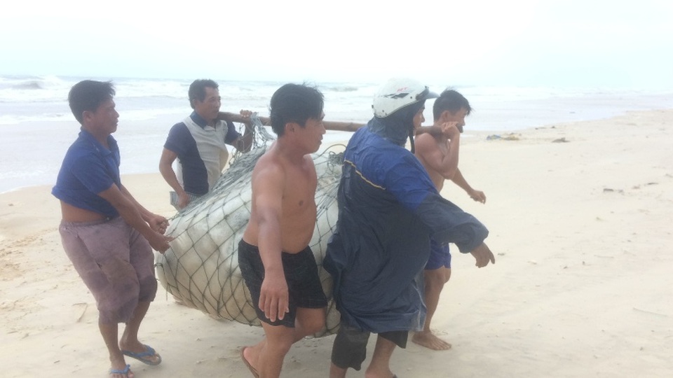 Bão số 4 áp sát, vùng dự kiến tâm bão căng mình ứng phó - 6 Ngư dân đội mưa vận chuyển ngư lưới cụ lên bảo quản