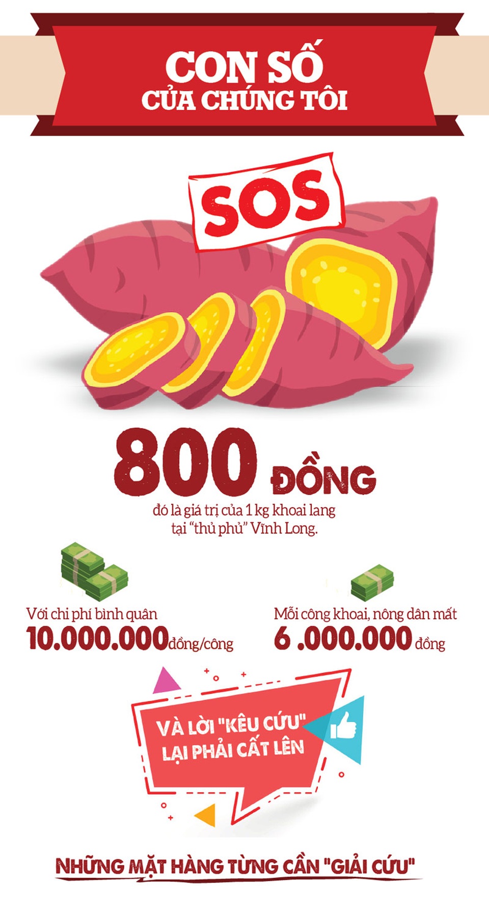 Infographics: Phải đi buôn chổi đót - 1