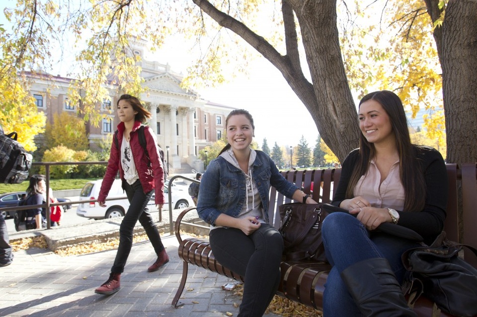 Ngày hội du học Canada: Dẫn lối tương lai nghề nghiệp và định cư - 2