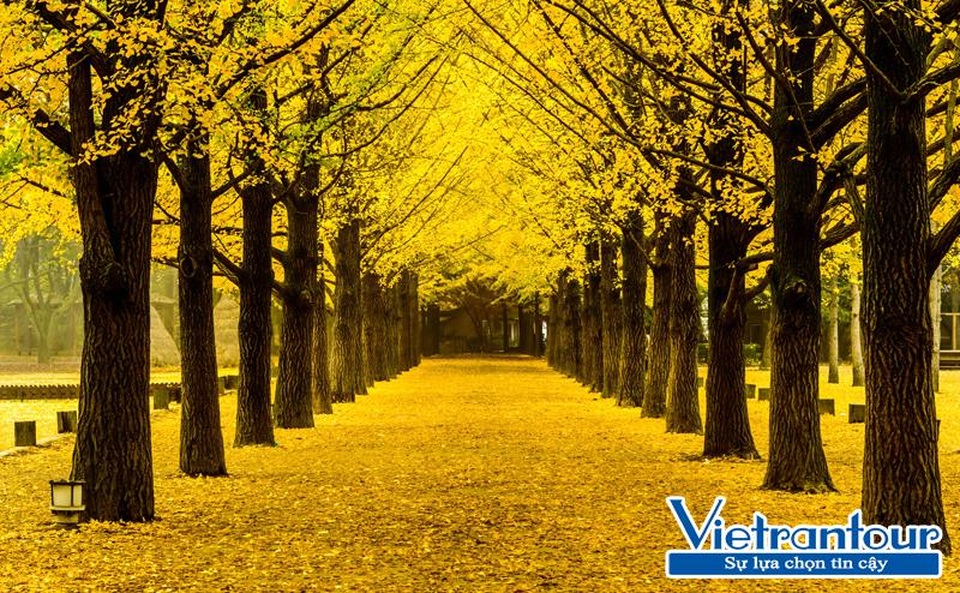 Đa dạng vẻ đẹp Thu trên khắp thế giới - 2 Đa dạng vẻ đẹp Thu trên khắp thế giới - 2
