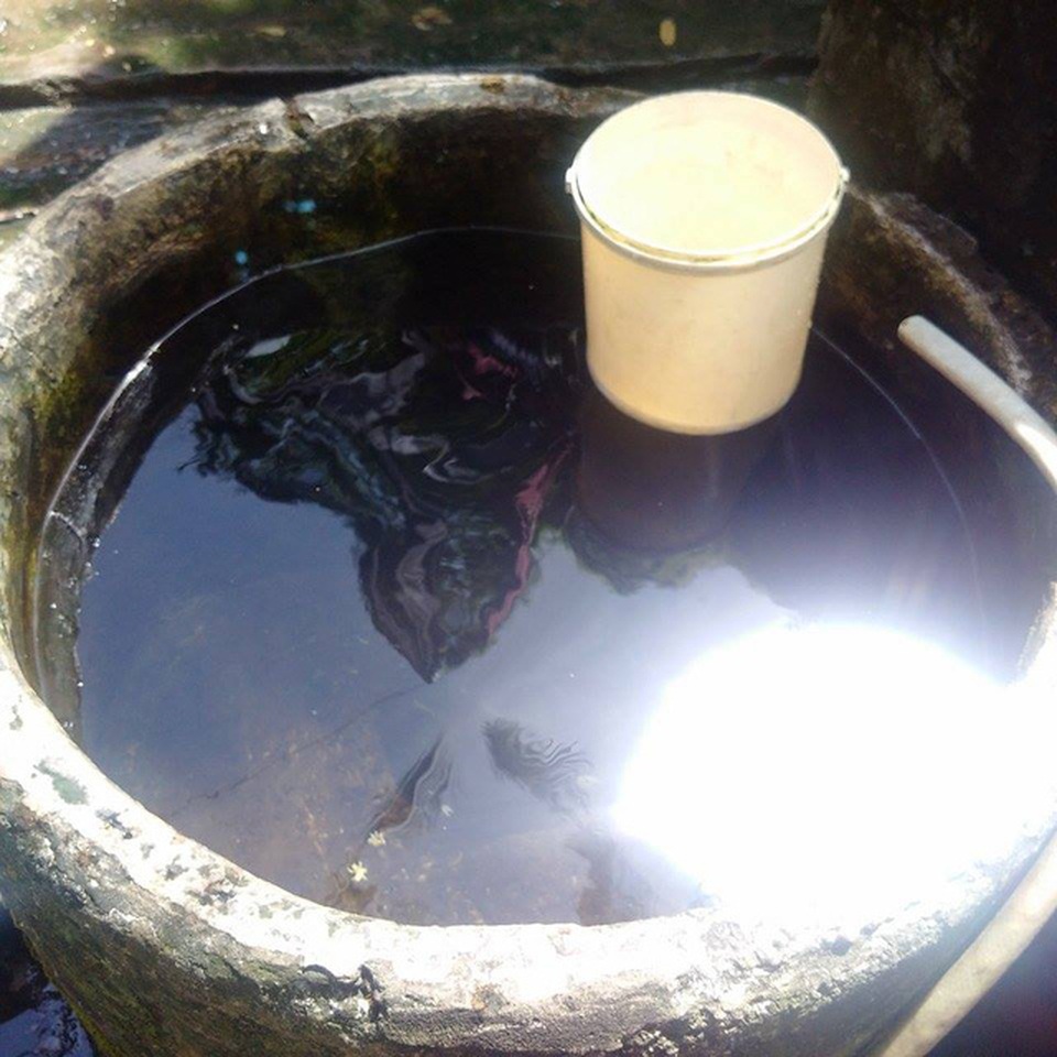 "Sống liều" ở điểm nóng sốt xuất huyết - 3 Nước trong thấy đáy. Ở đáy thùng có xác hoa khế cao rụng xuống, có cả xác côn trùng.
