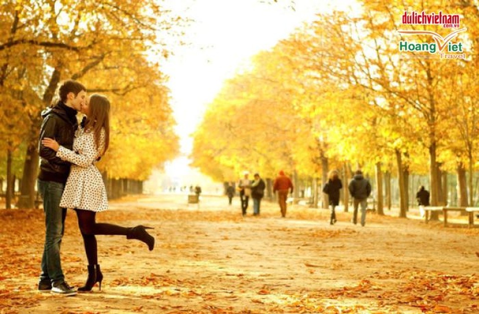Trải nghiệm châu Âu mùa thu ưu đãi đến 14 triệu đồng - 2 Vườn Luxembourg ngập lá vàng