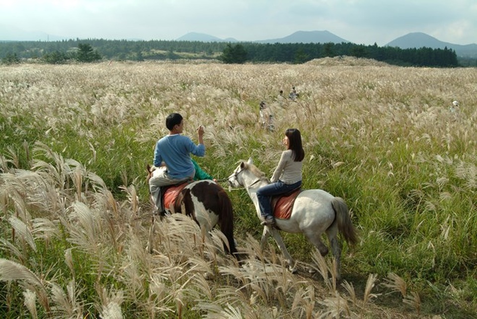 Trải nghiệm những cảm giác mê hoặc với tour cao cấp mới tại Jeju - 3
Nguồn: Tổng cục Du lịch Hàn Quốc