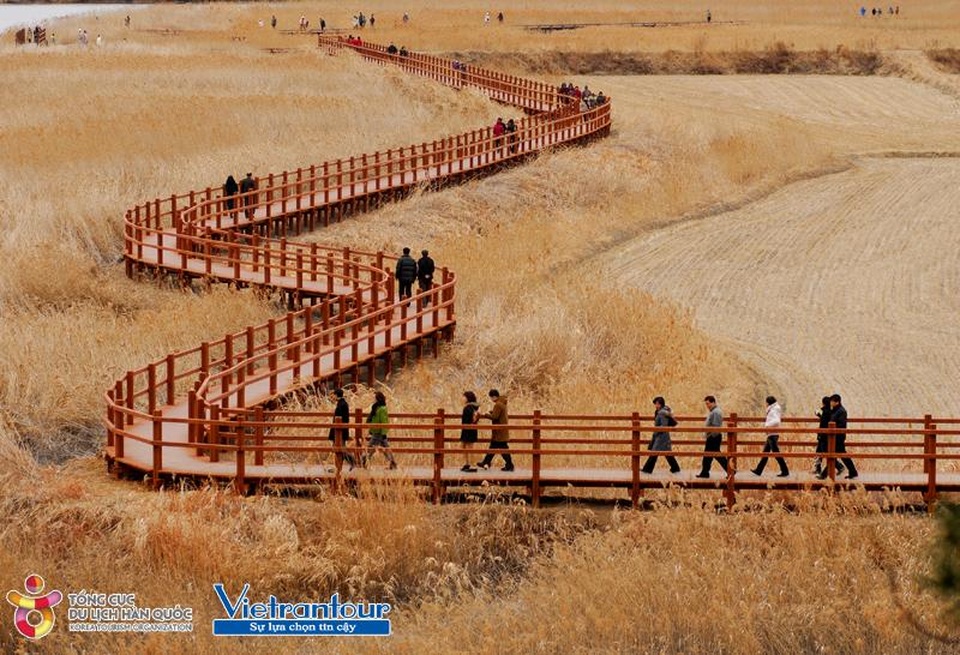 Tour du lịch Hàn Quốc dành riêng phái đẹp trong tháng 10 - 2 Tour du lịch Hàn Quốc dành riêng phái đẹp trong tháng 10 - 2