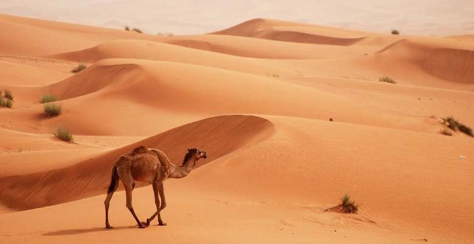 8 địa điểm chụp ảnh “câu like” đẹp nhất Dubai - 2 8 địa điểm chụp ảnh “câu like” đẹp nhất Dubai - 2