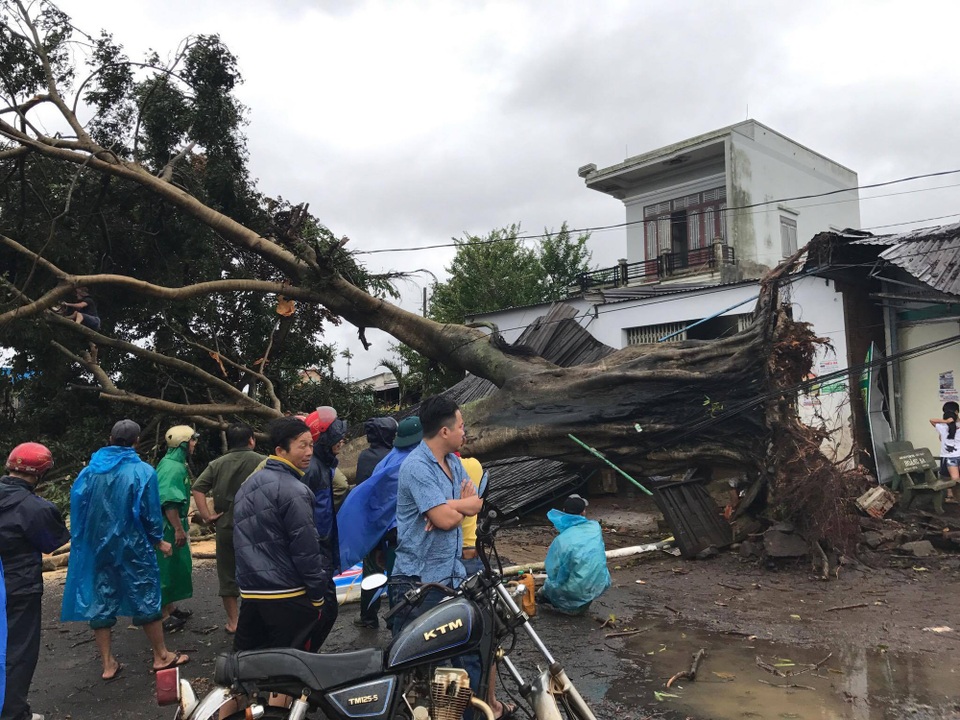 Hơn 10 người thiệt mạng, nhiều người mất tích do bão số 12 - 7