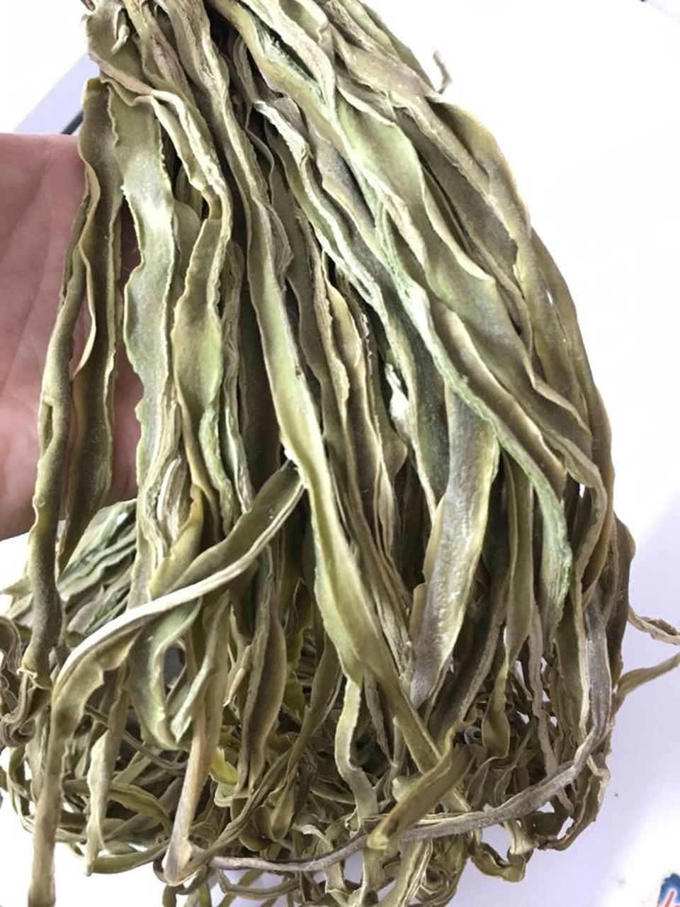 Rau khô như nắm cỏ: 500 ngàn đồng/kg, xếp hàng nửa tháng chờ mua - 3
Không dễ dàng để mua được 1kg rau cần biển về chế biến