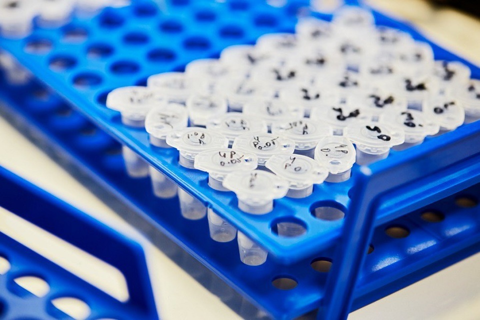 Vắc xin phối hợp của GSK đã quay trở lại Việt Nam - 2 Vắc xin phối hợp của GSK đã quay trở lại Việt Nam - 2