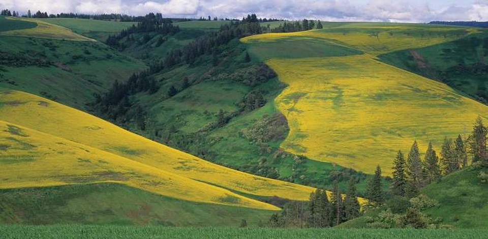 8 điểm chụp ảnh hút hồn nhất Tây bắc Thái Bình Dương - 2