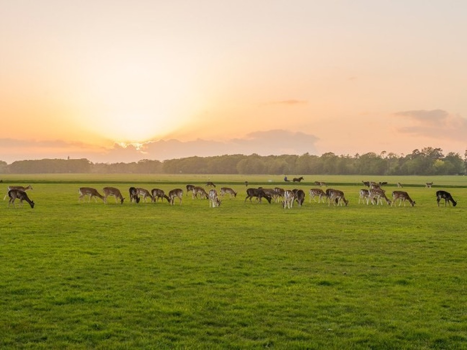 15 công viên tuyệt đẹp khiến bất kỳ ai cũng một lần muốn đến - 2