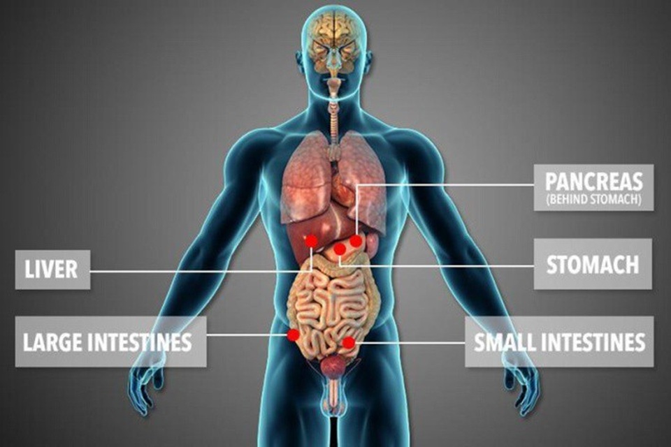 Thần kỳ chuyện người phụ nữ được hiến tặng... 5 nội tạng cùng lúc và được sống - 2 Joanne bị hỏng 5 nội tạng trong cơ thể